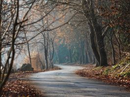 Manifestazione di interesse per interventi su strade comunali anche per emergenze nazionali – acquisizione strade